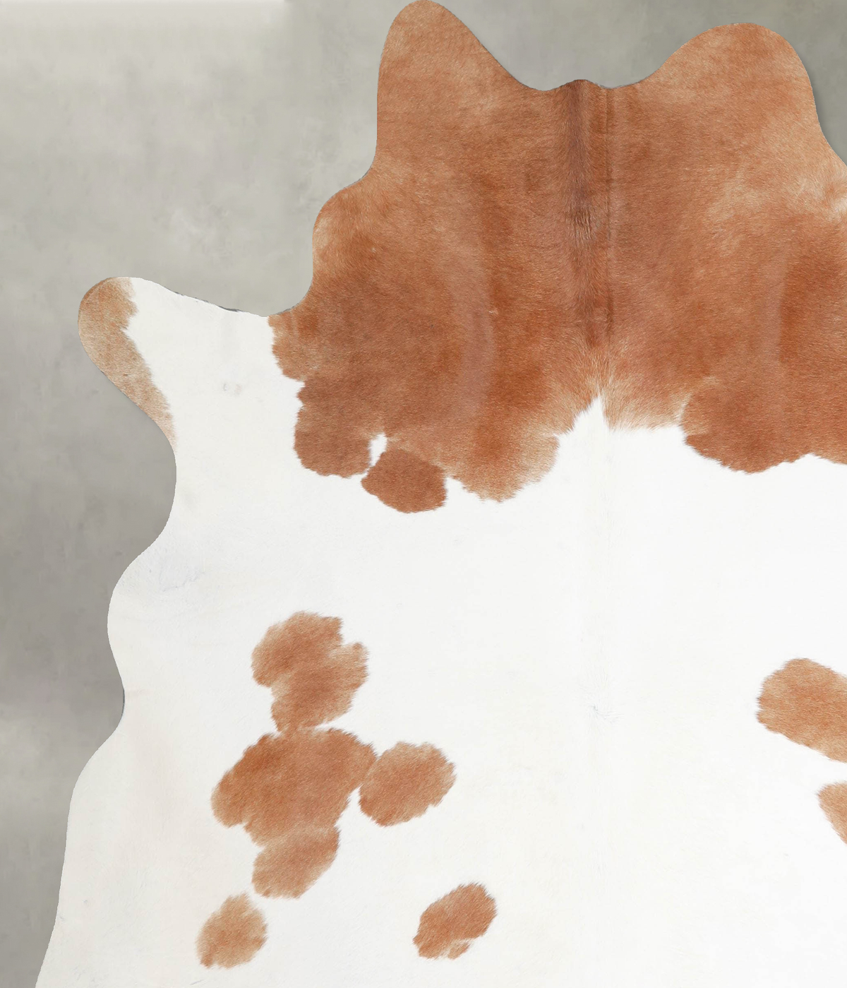 Brown and White Regular X-Large Brazilian Cowhide Rug 7'1"H x 6'5"W #A54732 by Hudson Hides