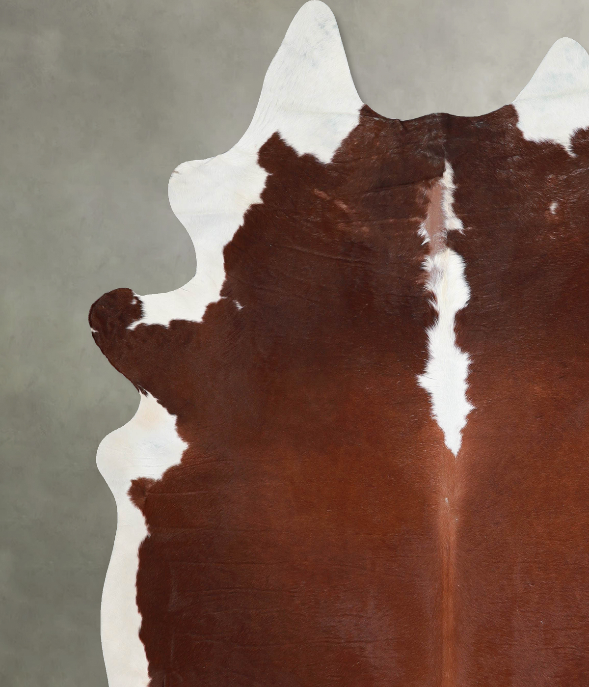 Brown and White Regular XX-Large Brazilian Cowhide Rug 8'1"H x 7'1"W #A54733 by Hudson Hides