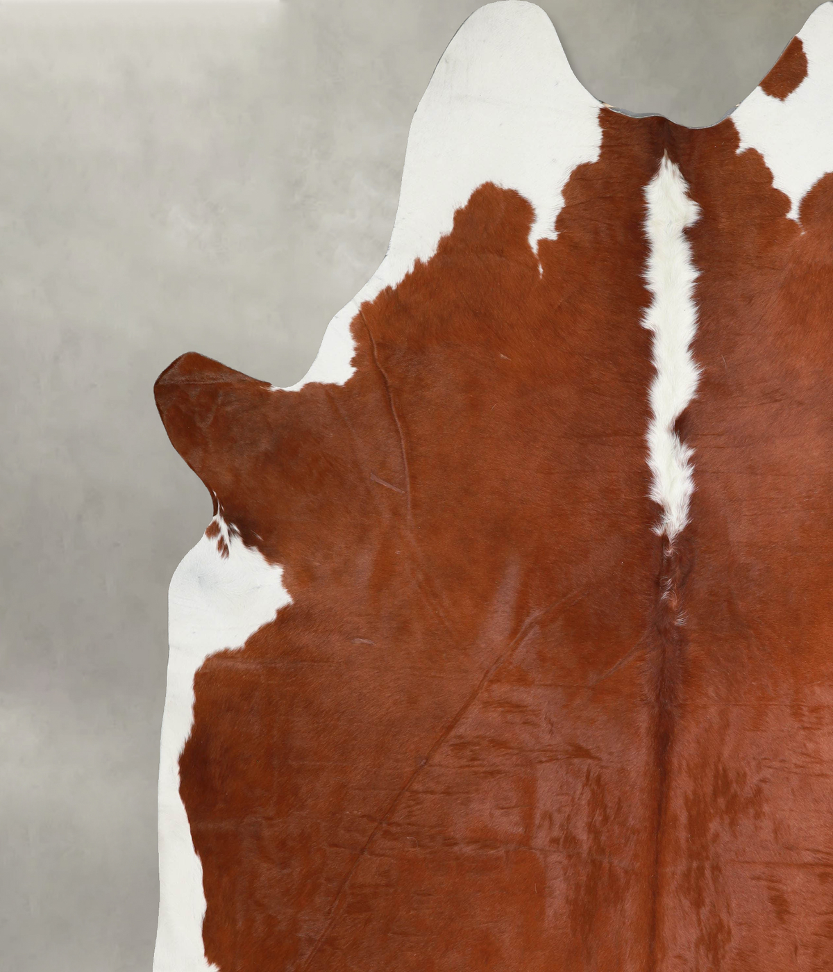 Hereford XX-Large Brazilian Cowhide Rug 9'0"H x 7'10"W #A54737 by Hudson Hides