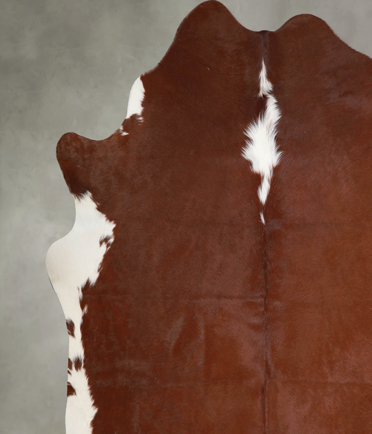 Brown and White Regular X-Large Brazilian Cowhide Rug 7'0"H x 7'1"W #A54745 by Hudson Hides