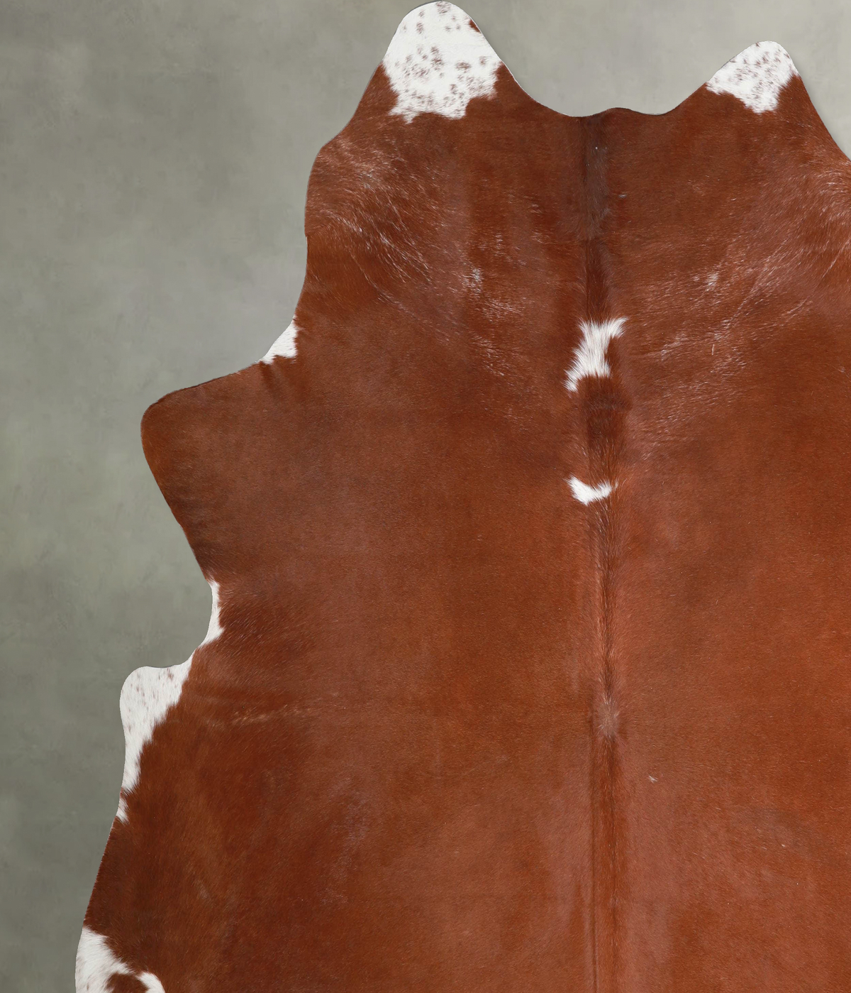 Brown and White Regular XX-Large Brazilian Cowhide Rug 8'2"H x 7'9"W #A54749 by Hudson Hides