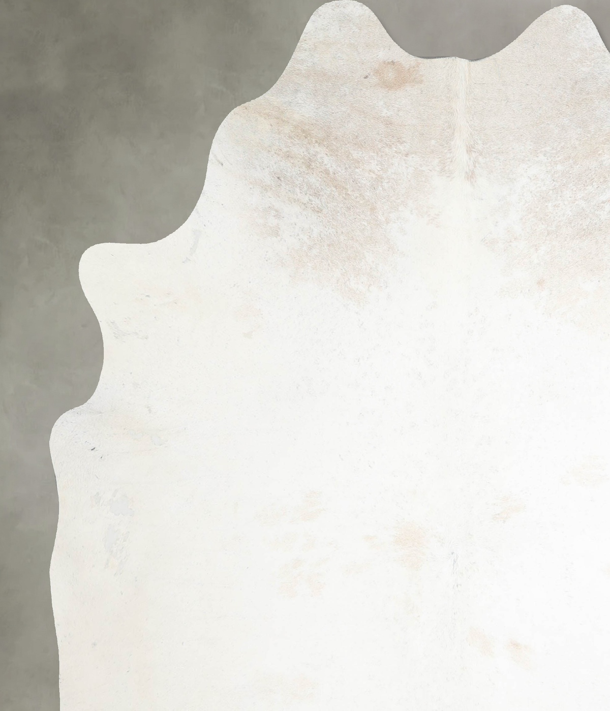 Ivory with Beige X-Large Brazilian Cowhide Rug 7'0"H x 6'1"W #A54750 by Hudson Hides