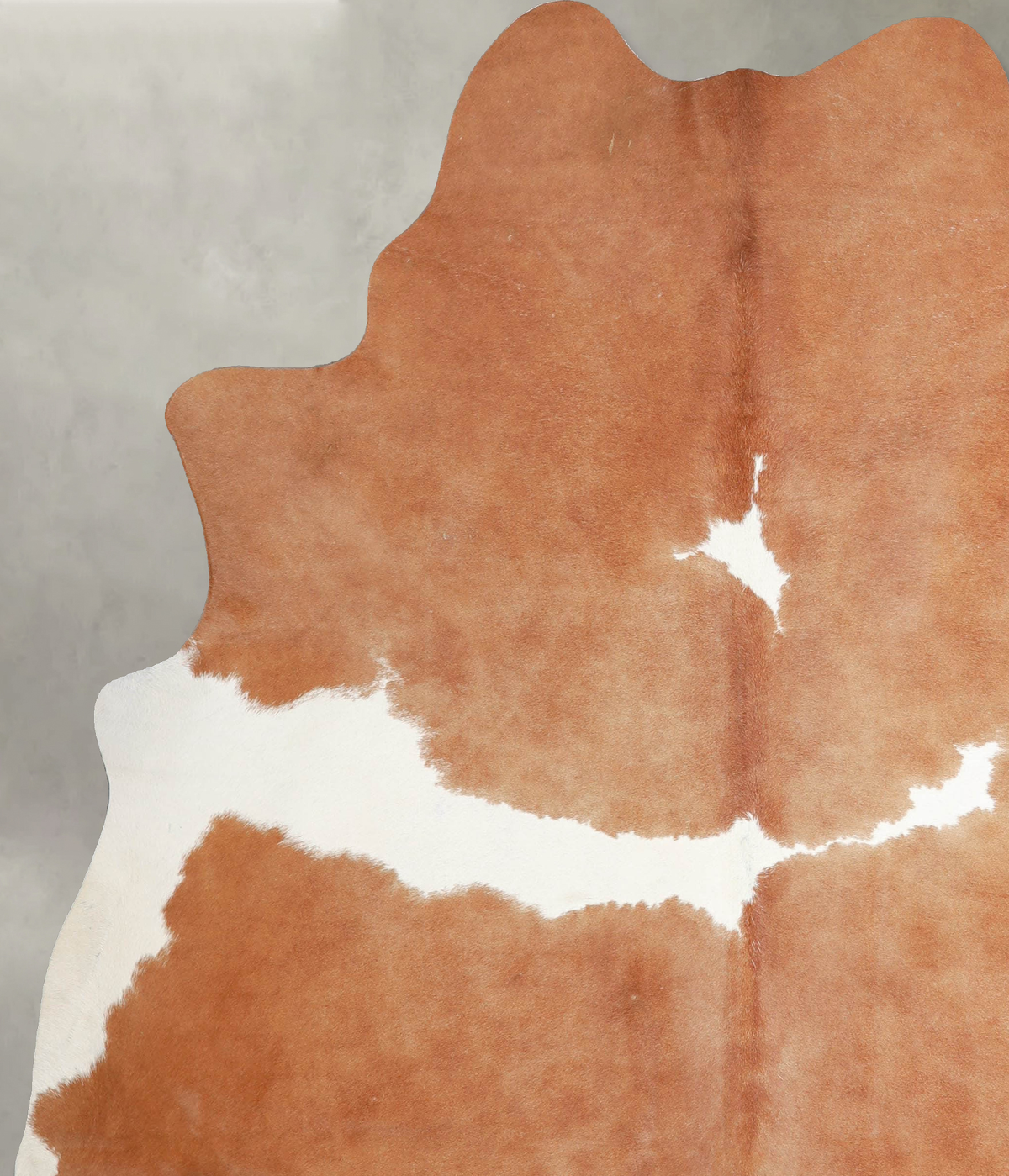 Brown and White X-Large Brazilian Cowhide Rug 7'6"H x 6'5"W #A54751 by Hudson Hides