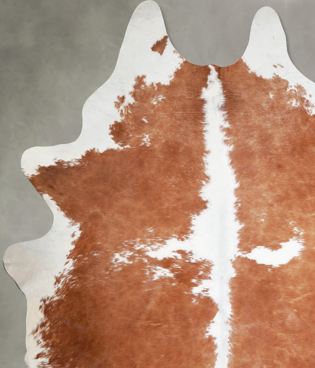 Brown and White XX-Large Brazilian Cowhide Rug 9'0"H x 7'1"W #A54754 by Hudson Hides