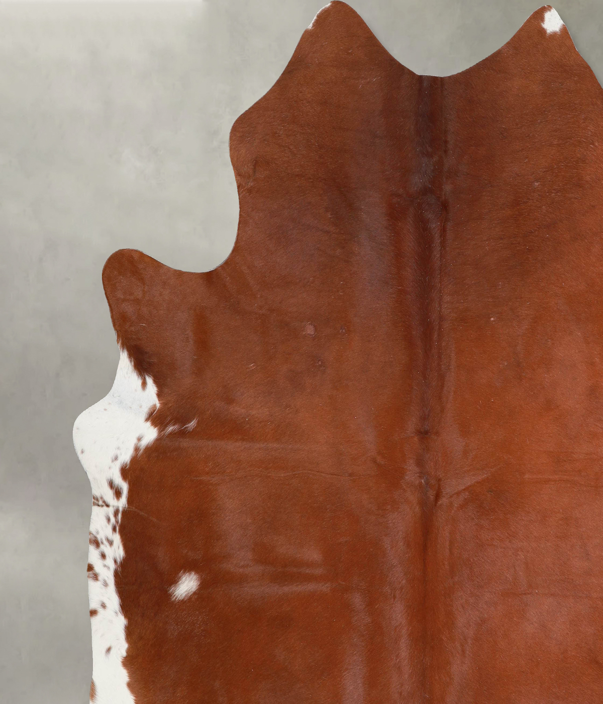 Brown and White Regular XX-Large Brazilian Cowhide Rug 7'7"H x 6'11"W #A54755 by Hudson Hides