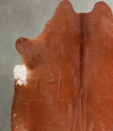 Solid Brown X-Large Brazilian Cowhide Rug 6'11"H x 7'0"W #A54756 by Hudson Hides