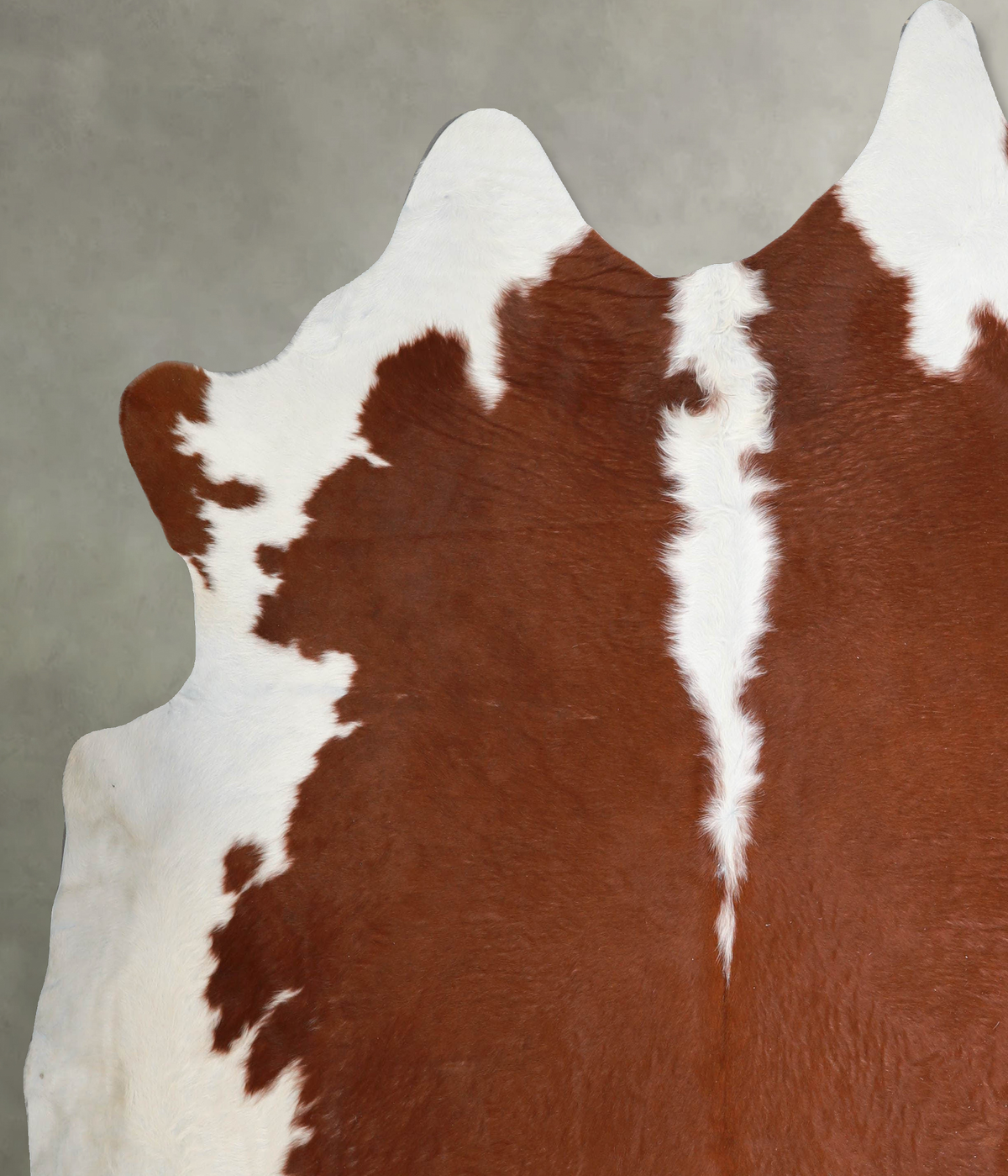 Hereford XX-Large Brazilian Cowhide Rug 8'5"H x 7'7"W #A54758 by Hudson Hides