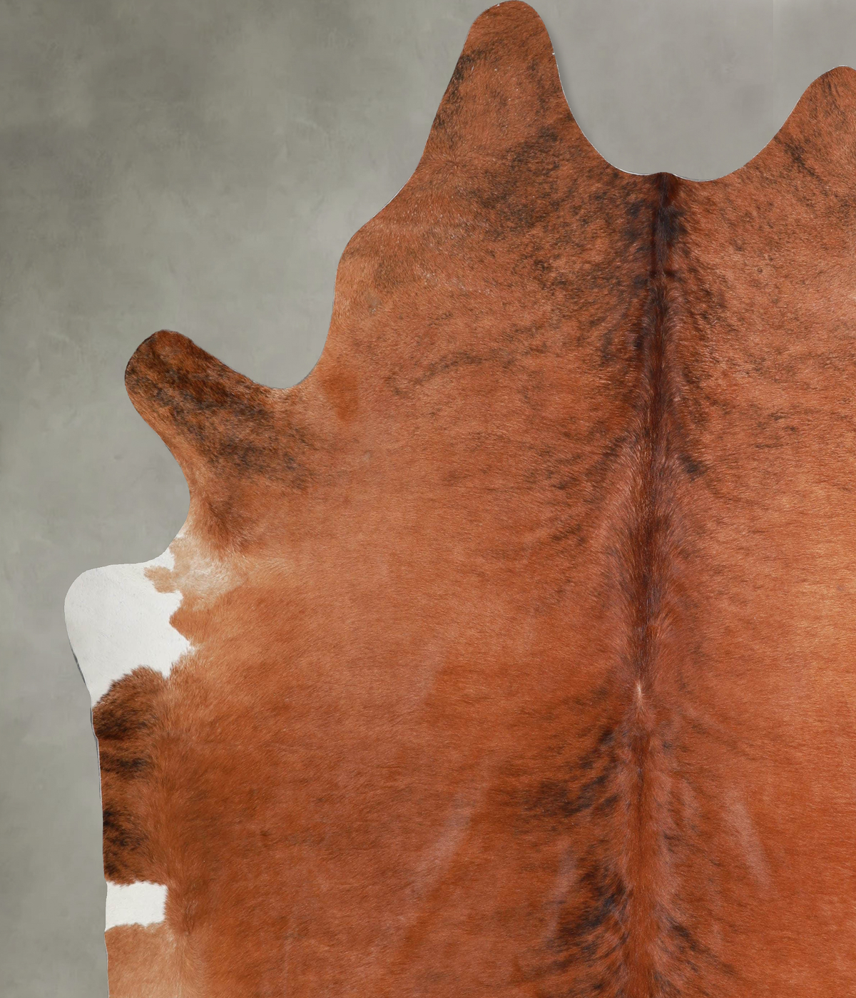Medium Brindle XX-Large Brazilian Cowhide Rug 8'0"H x 7'4"W #A54765 by Hudson Hides