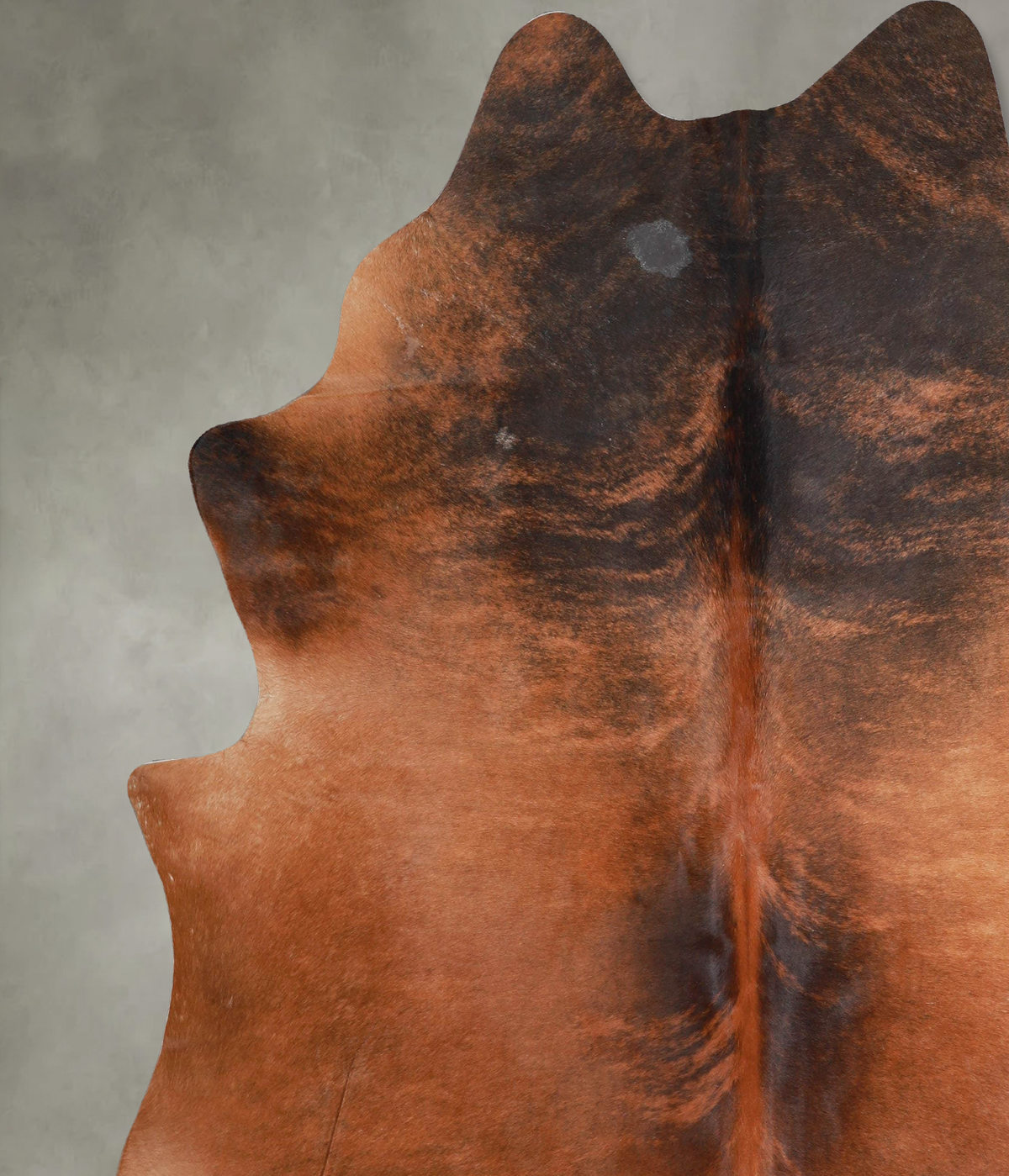 Medium Brindle XX-Large Brazilian Cowhide Rug 7'8"H x 6'10"W #A54766 by Hudson Hides