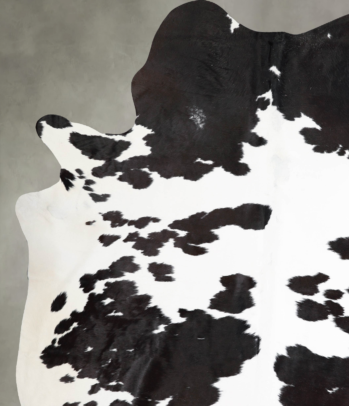 Chocolate and White XX-Large Brazilian Cowhide Rug 8'7"H x 6'7"W #A54767 by Hudson Hides