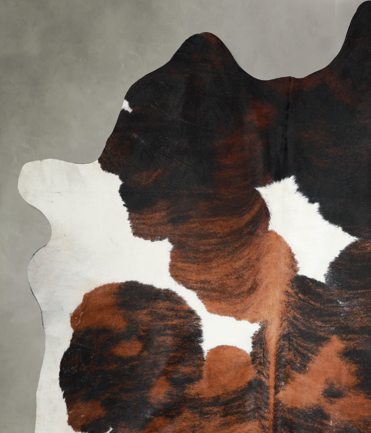 Tricolor XX-Large Brazilian Cowhide Rug 8'7"H x 7'1"W #A54776 by Hudson Hides