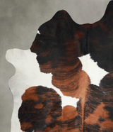 Tricolor XX-Large Brazilian Cowhide Rug 8'7"H x 7'1"W #A54776 by Hudson Hides