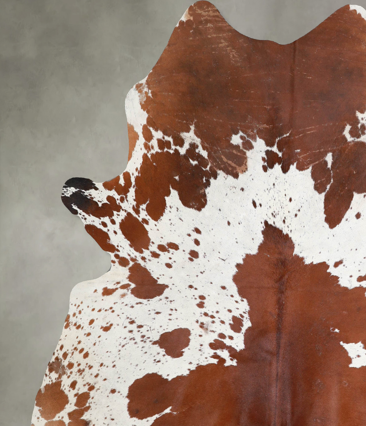 Chocolate and White X-Large Brazilian Cowhide Rug 7'5"H x 6'0"W #A54777 by Hudson Hides