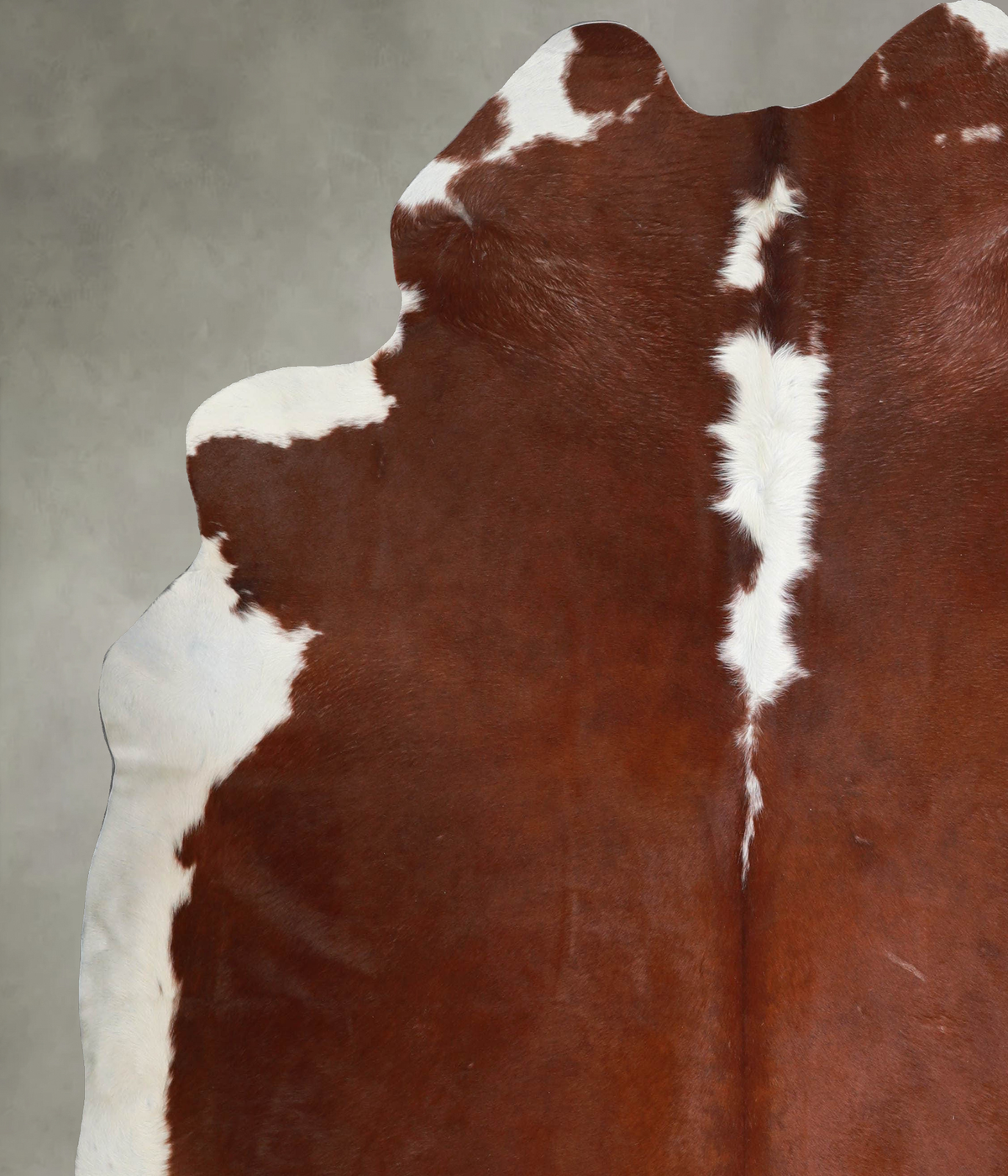 Hereford XX-Large Brazilian Cowhide Rug 7'10"H x 7'0"W #A54781 by Hudson Hides