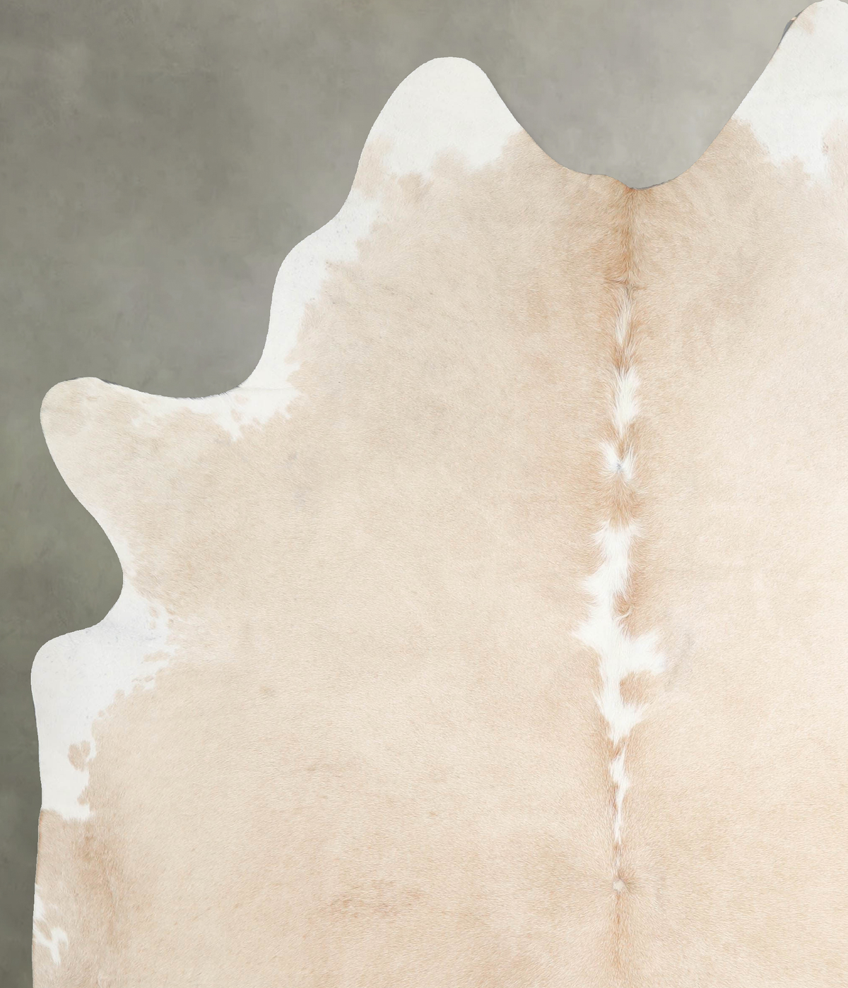 Palomino X-Large Brazilian Cowhide Rug 7'11"H x 6'3"W #A54783 by Hudson Hides