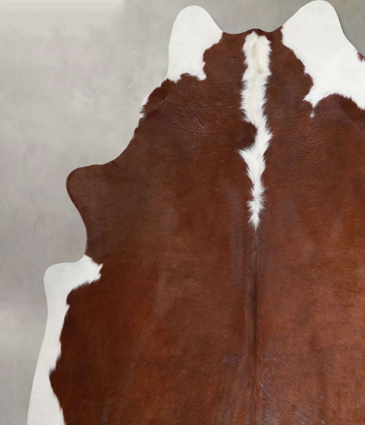 Hereford XX-Large Brazilian Cowhide Rug 7'5"H x 6'10"W #A54784 by Hudson Hides
