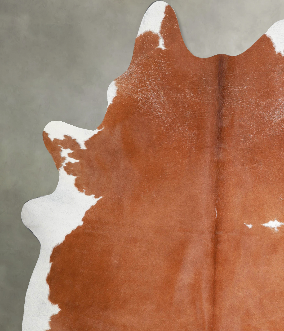 Brown and White Regular X-Large Brazilian Cowhide Rug 7'6"H x 6'4"W #A54785 by Hudson Hides