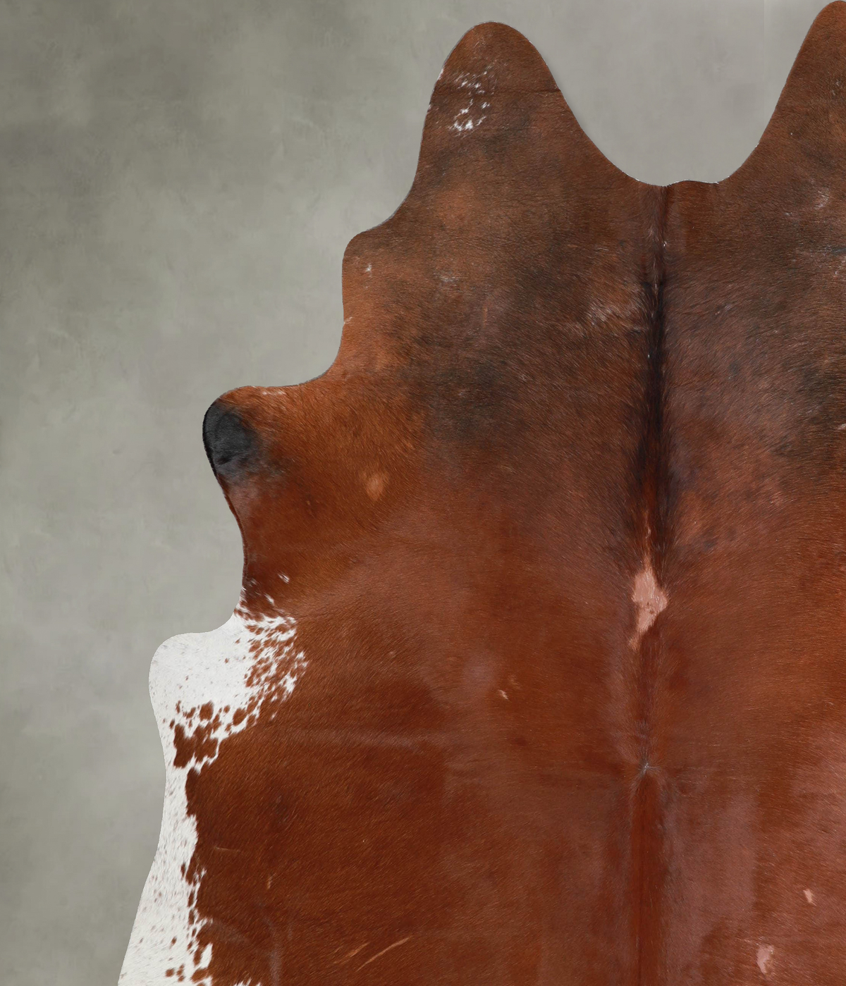 Brown and White Regular XX-Large Brazilian Cowhide Rug 7'11"H x 6'11"W #A54789 by Hudson Hides