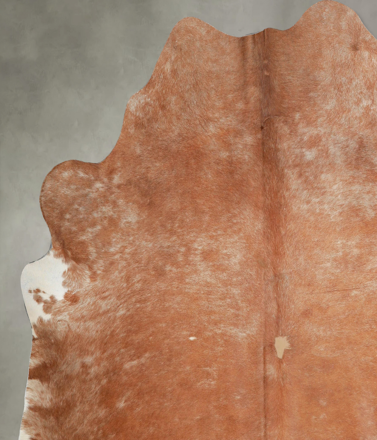 Light Caramel X-Large Brazilian Cowhide Rug 6'6"H x 6'6"W #A54790 by Hudson Hides