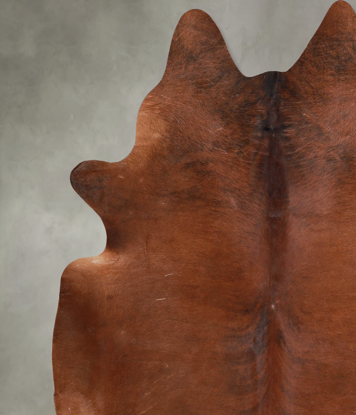 Medium Brindle XX-Large Brazilian Cowhide Rug 7'10"H x 7'5"W #A54797 by Hudson Hides
