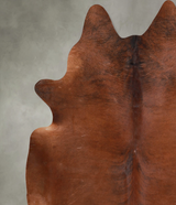 Medium Brindle XX-Large Brazilian Cowhide Rug 7'10"H x 7'5"W #A54797 by Hudson Hides