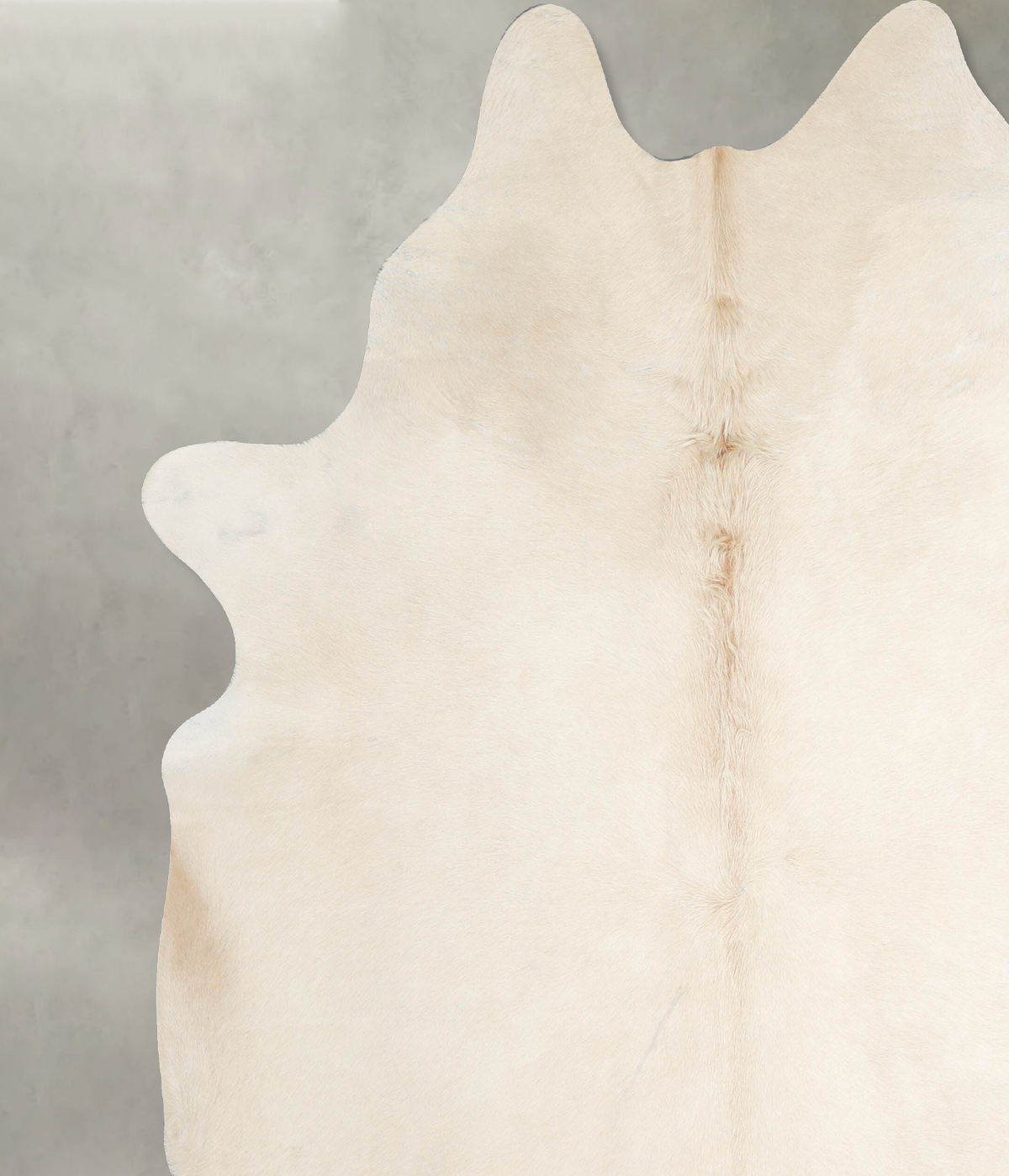 Champagne XX-Large Brazilian Cowhide Rug 7'6"H x 6'8"W #A54799 by Hudson Hides