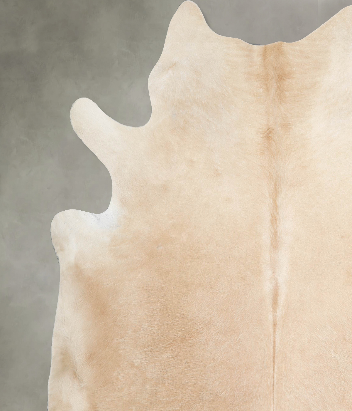 Palomino XX-Large Brazilian Cowhide Rug 7'3"H x 6'11"W #A54801 by Hudson Hides