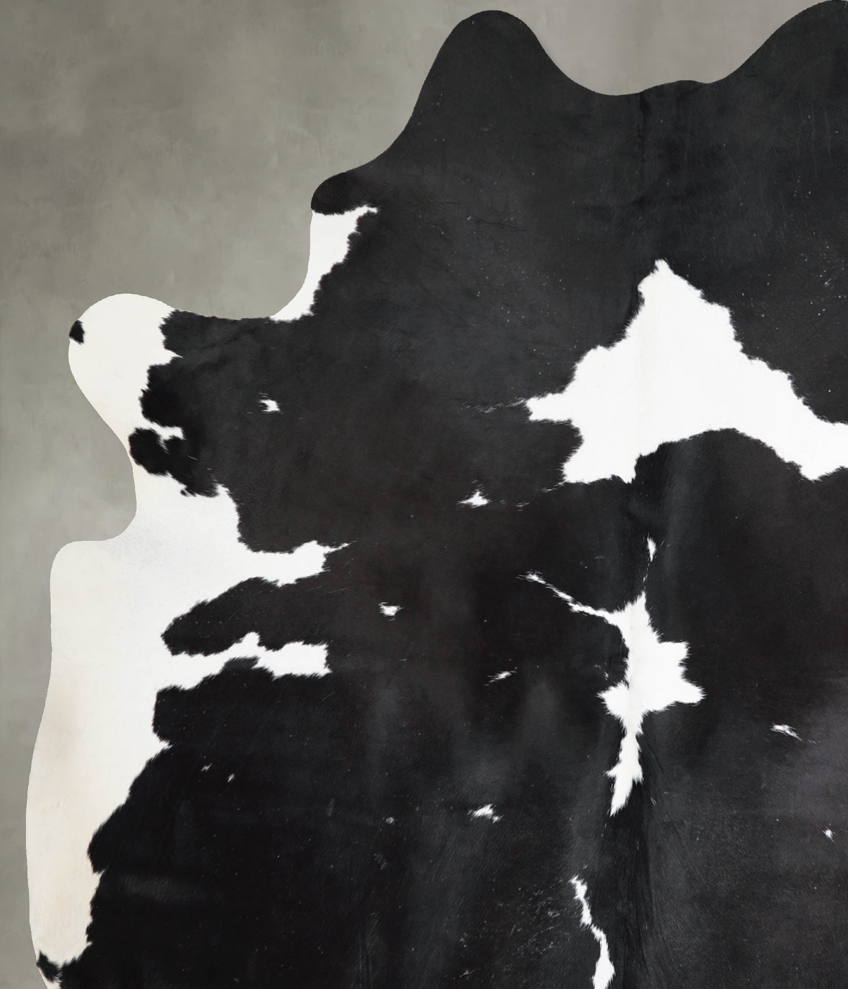 Black and White XX-Large Brazilian Cowhide Rug 8'3"H x 6'5"W #A54804 by Hudson Hides