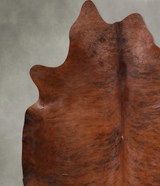 Medium Brindle XX-Large Brazilian Cowhide Rug 7'4"H x 7'0"W #A54807 by Hudson Hides
