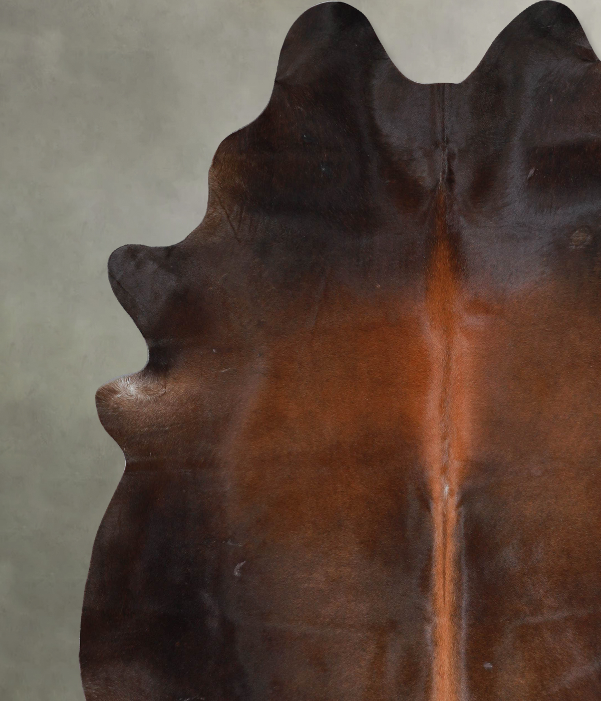 Warm Caramel XX-Large Brazilian Cowhide Rug 7'7"H x 6'8"W #A54808 by Hudson Hides
