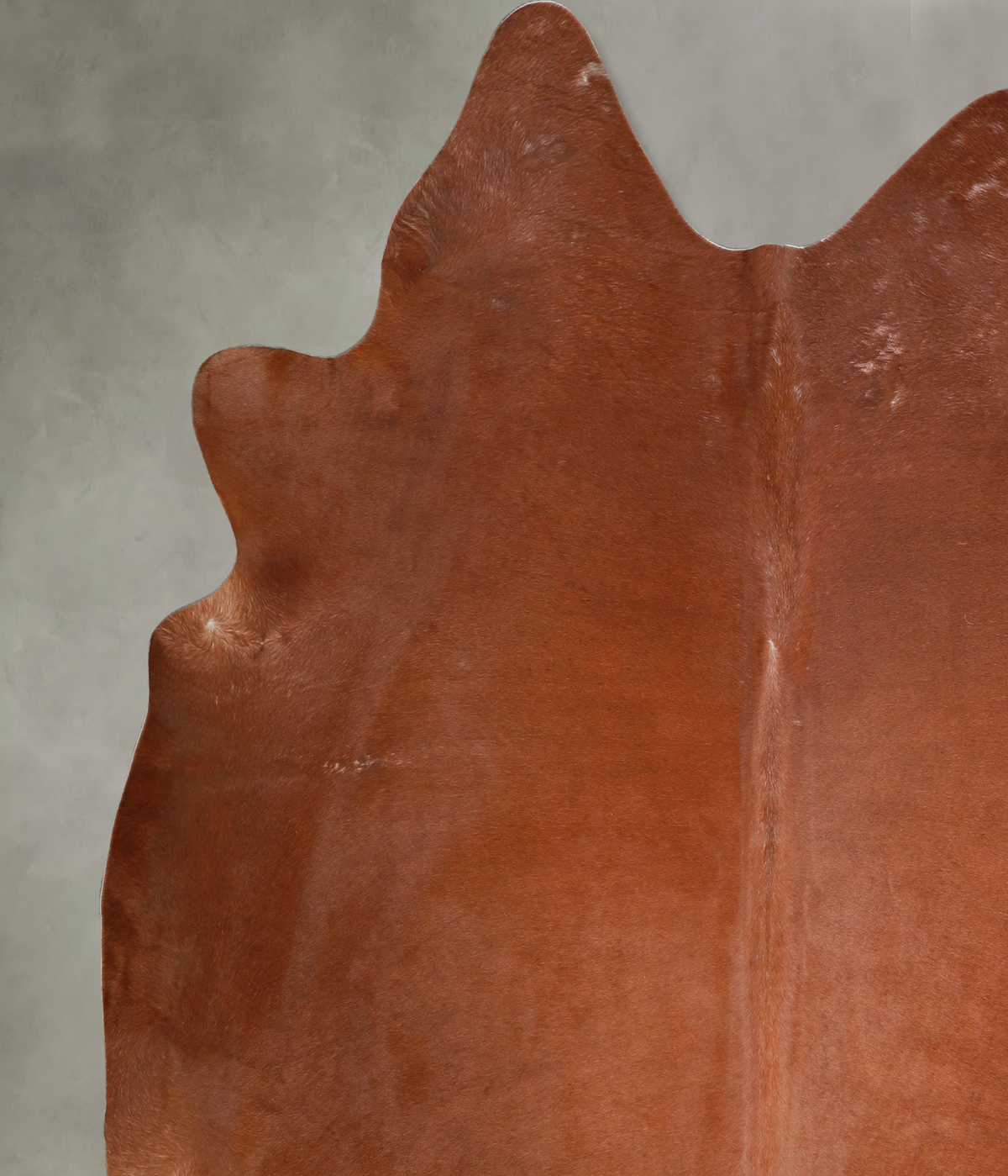 Solid Brown XX-Large Brazilian Cowhide Rug 7'11"H x 7'0"W #A54811 by Hudson Hides