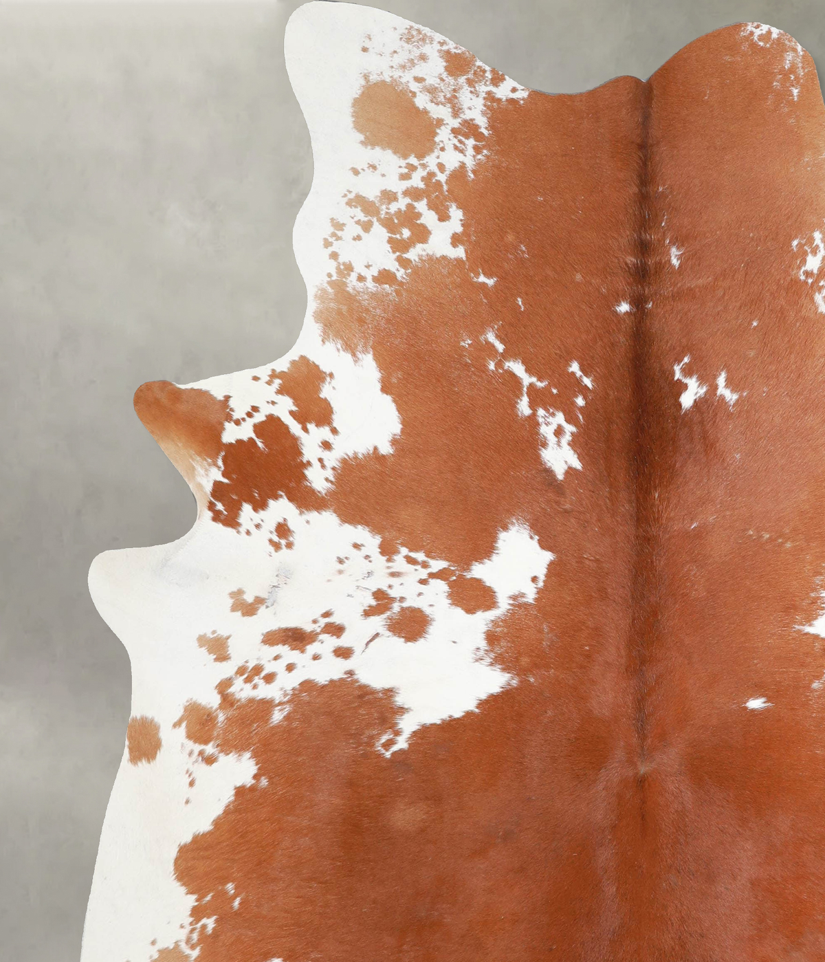 Brown and White X-Large Brazilian Cowhide Rug 7'3"H x 6'2"W #A54812 by Hudson Hides