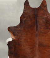 Medium Brindle XX-Large Brazilian Cowhide Rug 8'2"H x 7'11"W #A54814 by Hudson Hides
