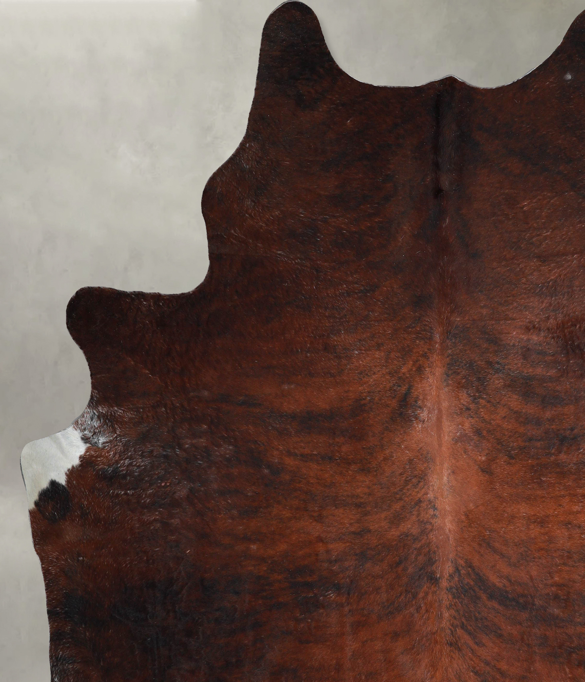 Dark Brindle XX-Large Brazilian Cowhide Rug 9'1"H x 7'6"W #A54815 by Hudson Hides