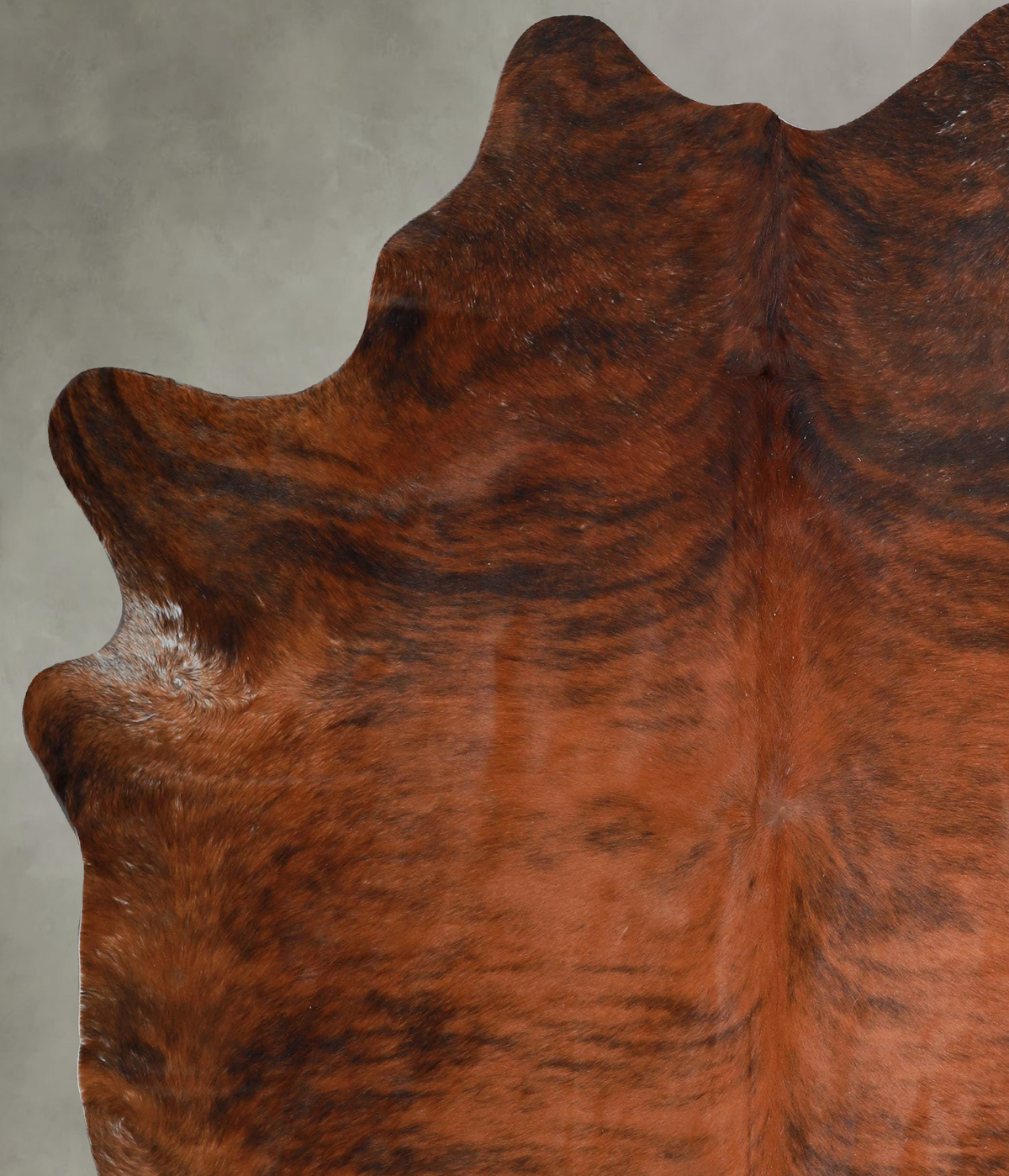 Medium Brindle X-Large Brazilian Cowhide Rug 7'5"H x 6'6"W #A54816 by Hudson Hides