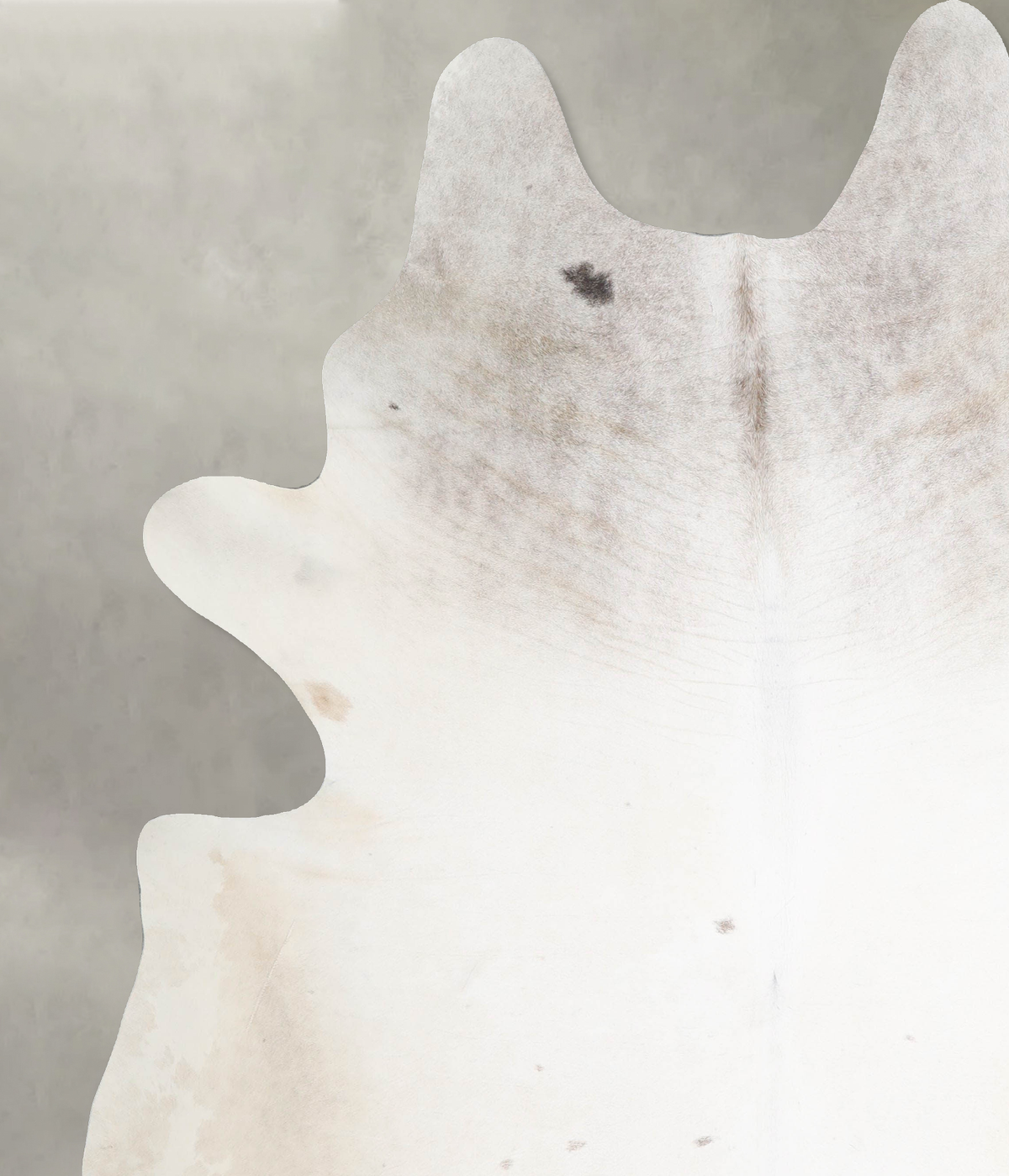 Ivory with Beige XX-Large Brazilian Cowhide Rug 8'1"H x 7'1"W #A54818 by Hudson Hides
