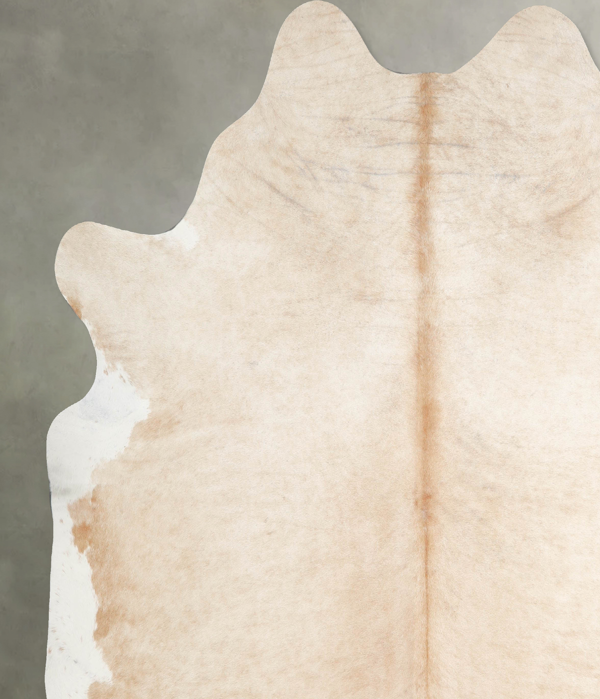 Palomino XX-Large Brazilian Cowhide Rug 7'11"H x 7'3"W #A54819 by Hudson Hides