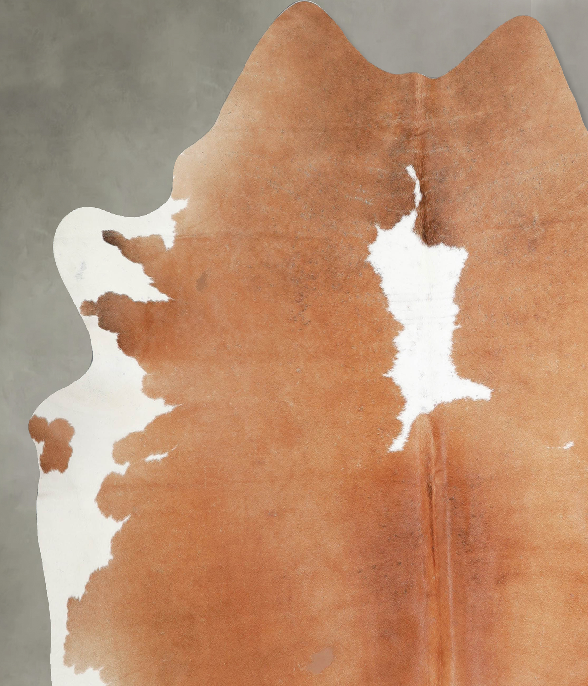 Brown and White XX-Large Brazilian Cowhide Rug 7'8"H x 6'11"W #A54821 by Hudson Hides