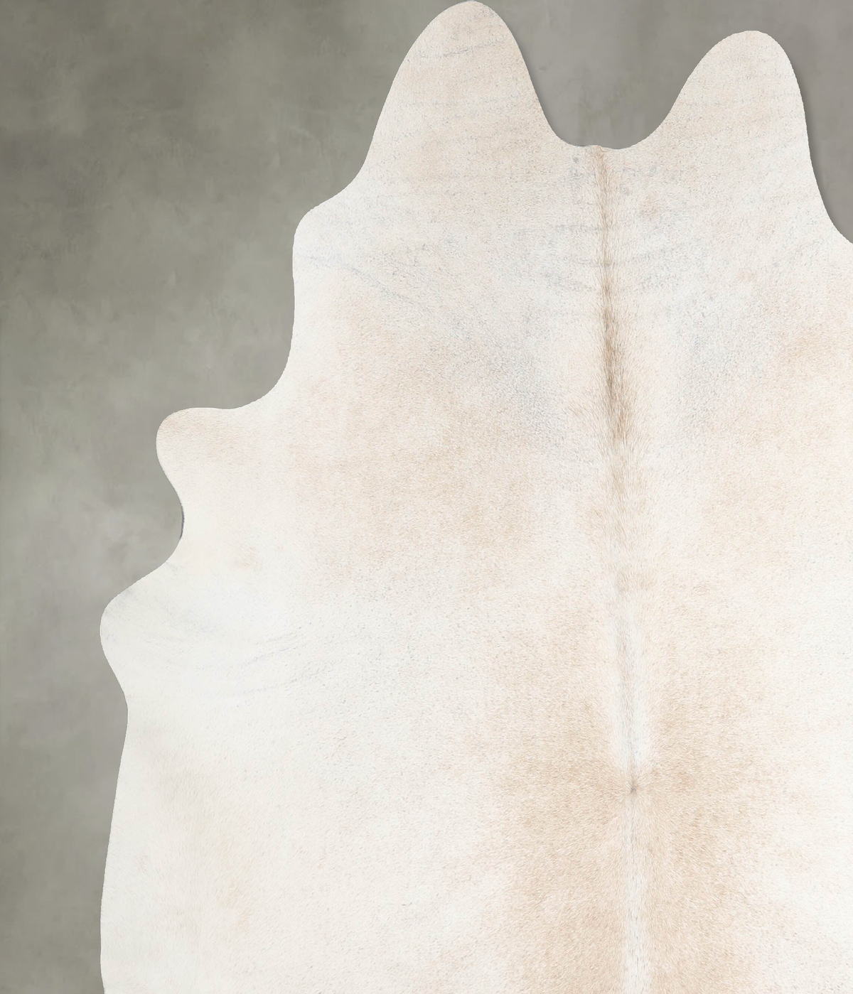 Ivory with Beige XX-Large Brazilian Cowhide Rug 7'3"H x 7'1"W #A54836 by Hudson Hides