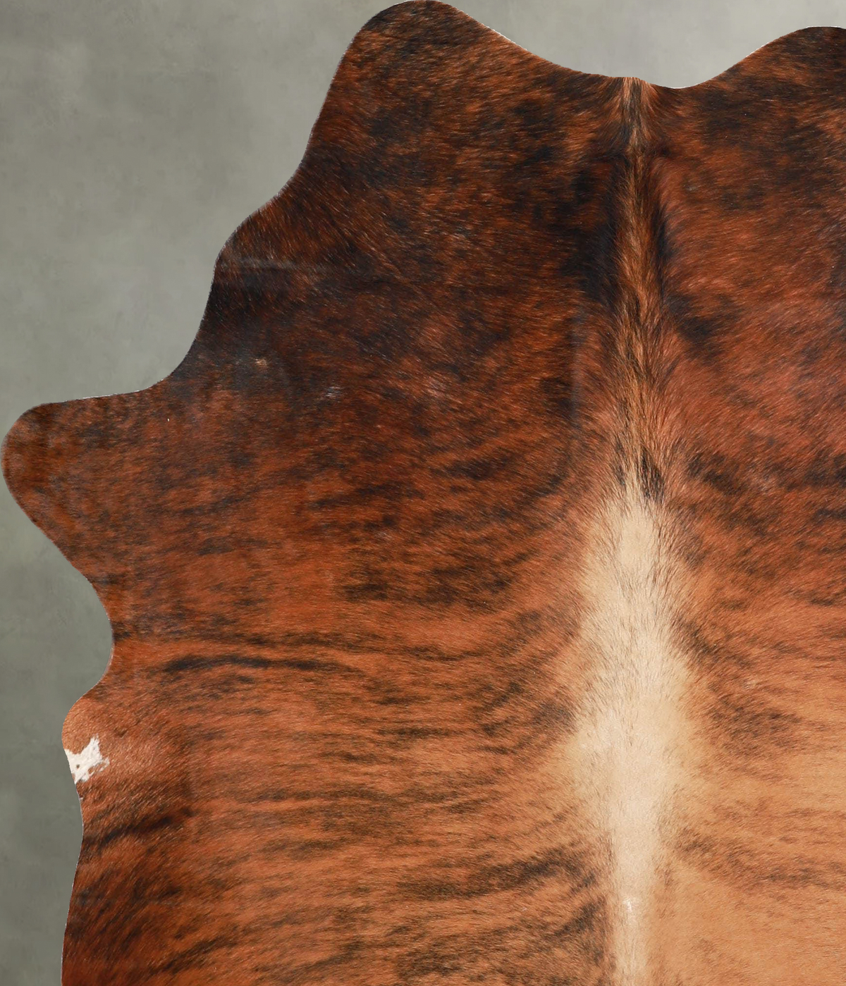 Medium Brindle Large Brazilian Cowhide Rug 6'3"H x 5'4"W #A54845 by Hudson Hides