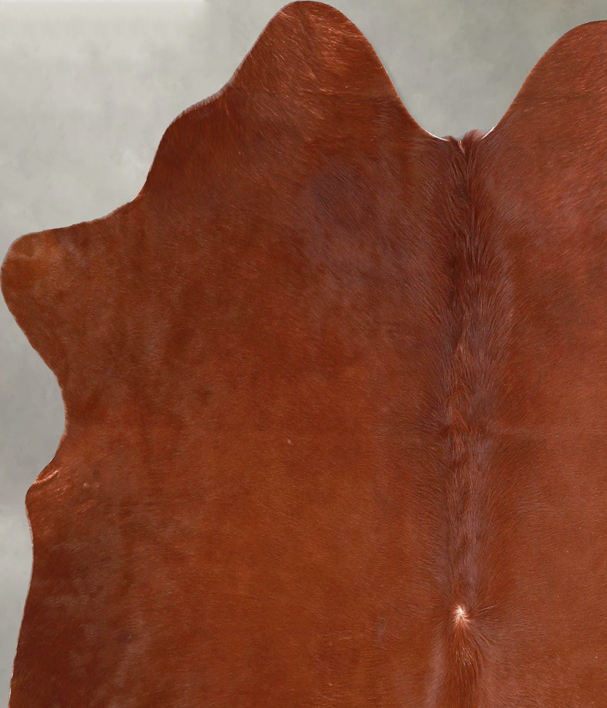 Solid Brown Medium Brazilian Cowhide Rug 5'2"H x 5'0"W #A54846 by Hudson Hides