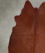 Solid Brown Large Brazilian Cowhide Rug 6'2"H x 6'1"W #A54850 by Hudson Hides