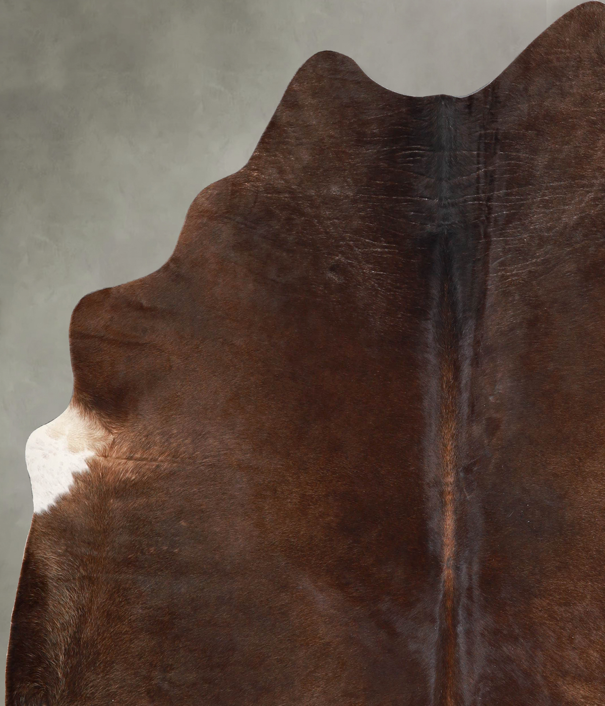 Chocolate X-Large Brazilian Cowhide Rug 7'2"H x 6'7"W #A54853 by Hudson Hides
