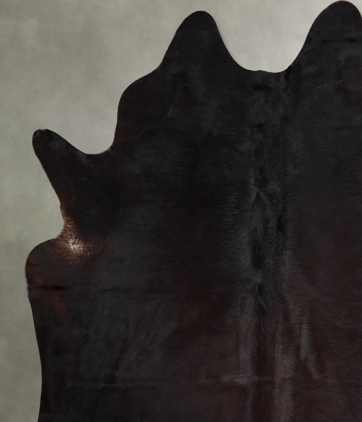 Chocolate XX-Large Brazilian Cowhide Rug 7'7"H x 6'9"W #A54854 by Hudson Hides