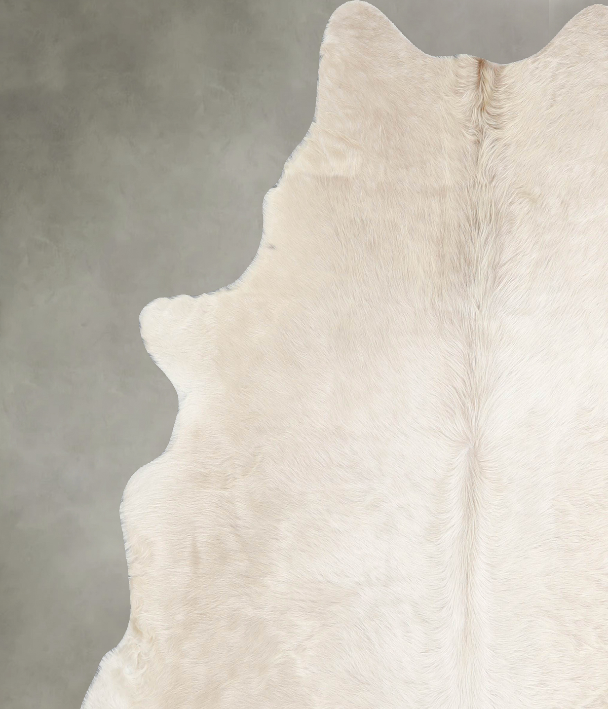 Champagne X-Large Brazilian Cowhide Rug 6'7"H x 6'3"W #A54861 by Hudson Hides