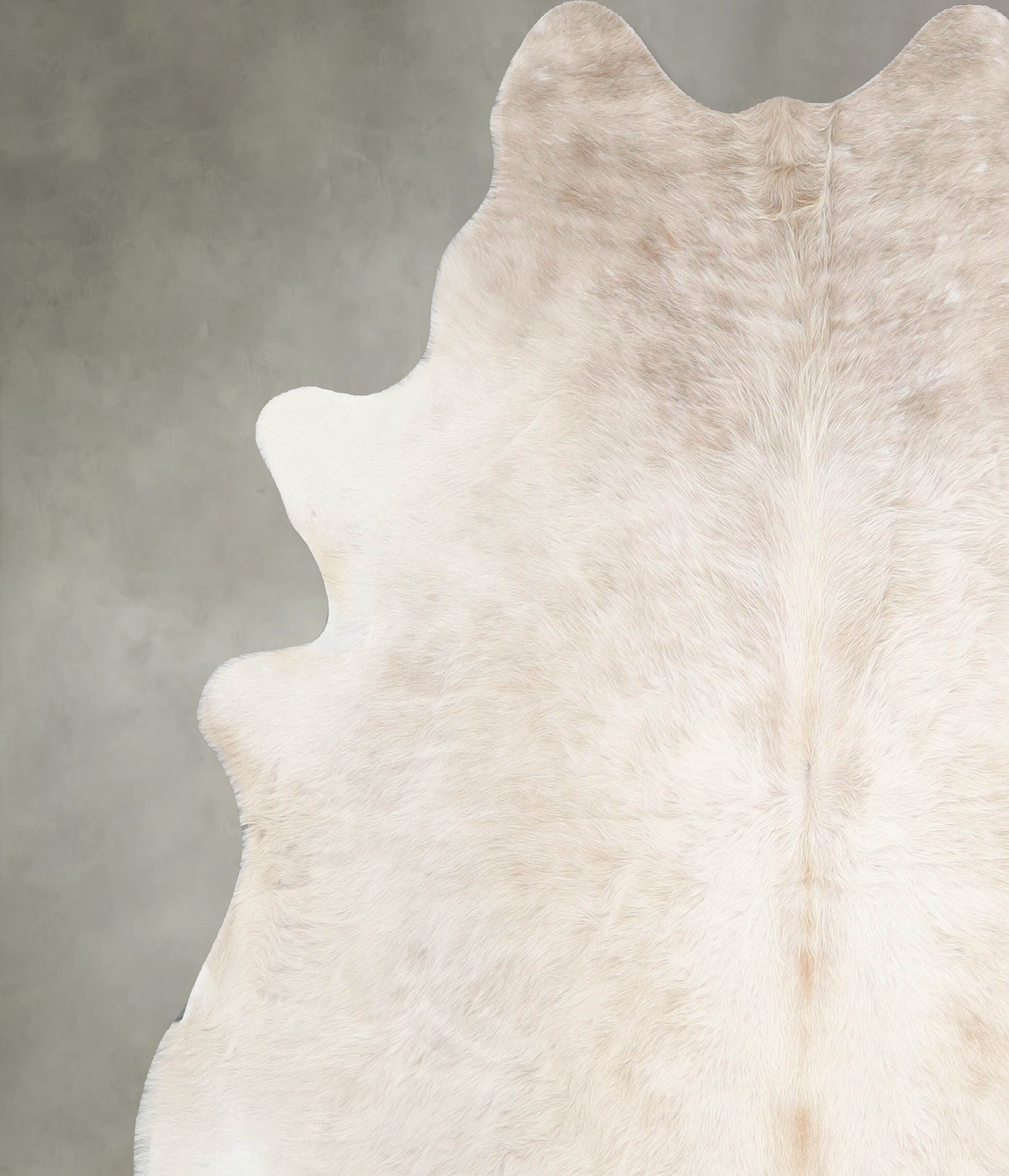 Champagne Large Brazilian Cowhide Rug 6'7"H x 6'0"W #A54862 by Hudson Hides