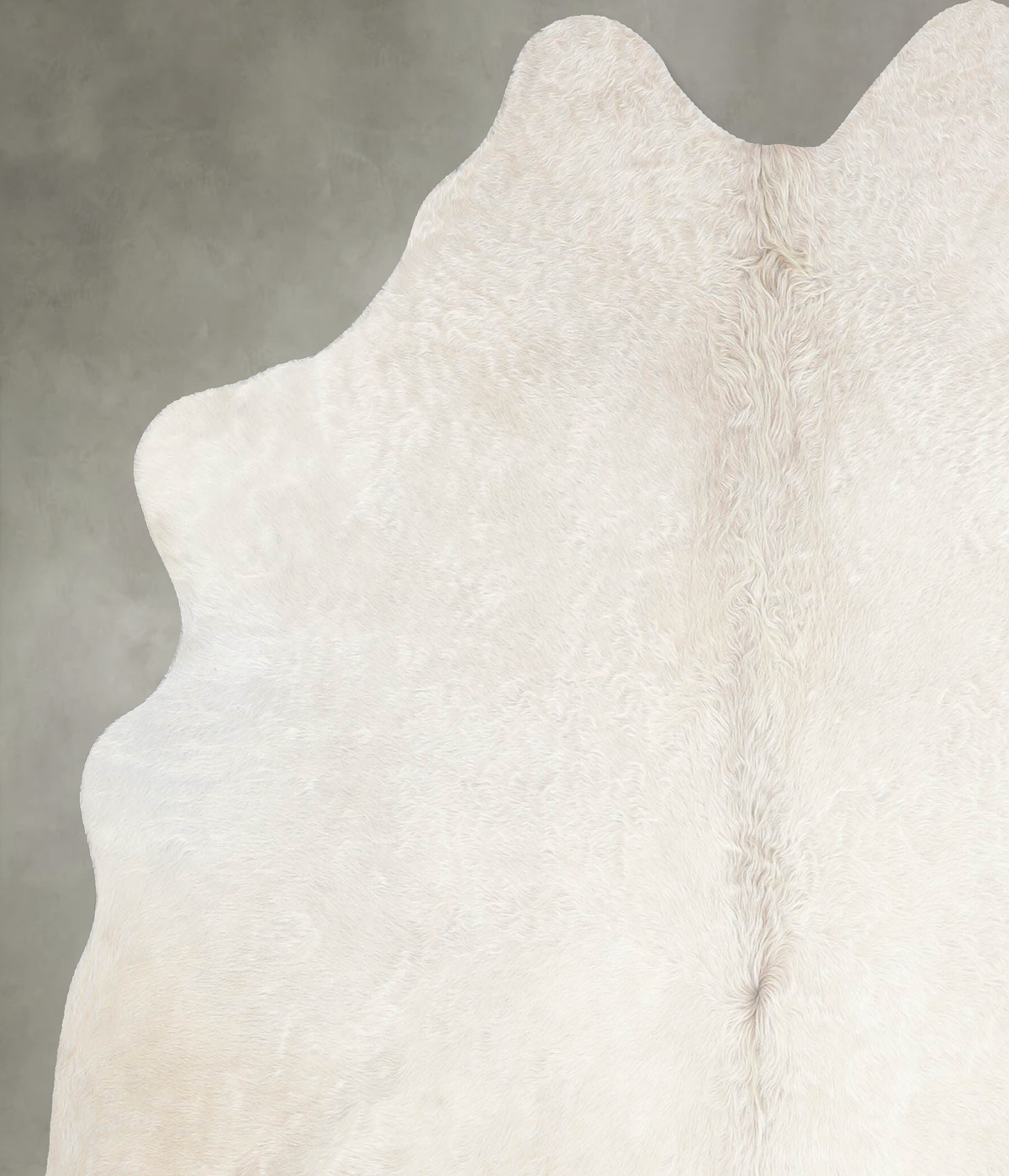 Champagne Large Brazilian Cowhide Rug 5'10"H x 5'6"W #A54864 by Hudson Hides