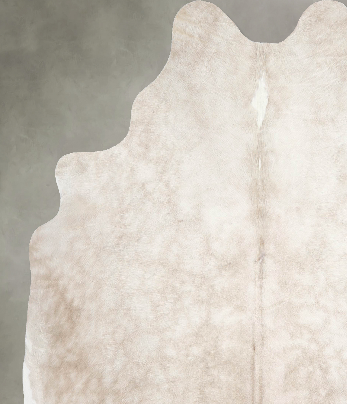 Champagne Large Brazilian Cowhide Rug 6'6"H x 5'8"W #A54865 by Hudson Hides