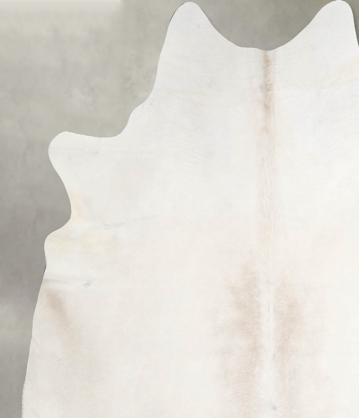 Champagne XX-Large Brazilian Cowhide Rug 7'9"H x 7'0"W #A54872 by Hudson Hides