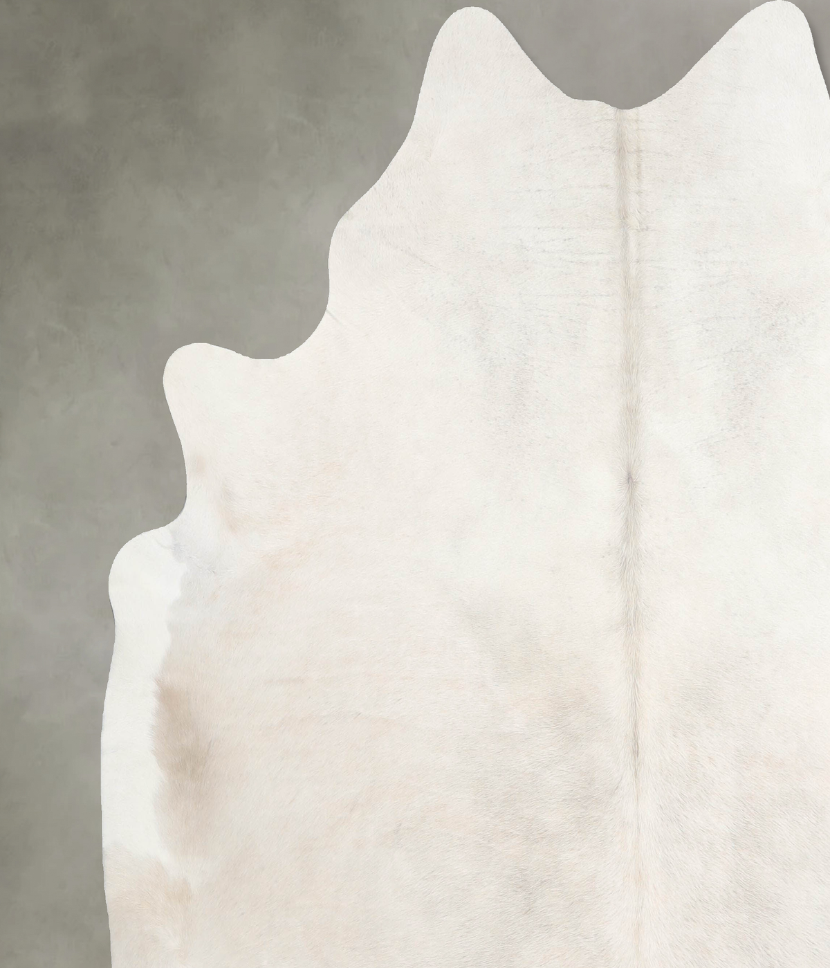 Champagne XX-Large Brazilian Cowhide Rug 7'3"H x 7'1"W #A54873 by Hudson Hides